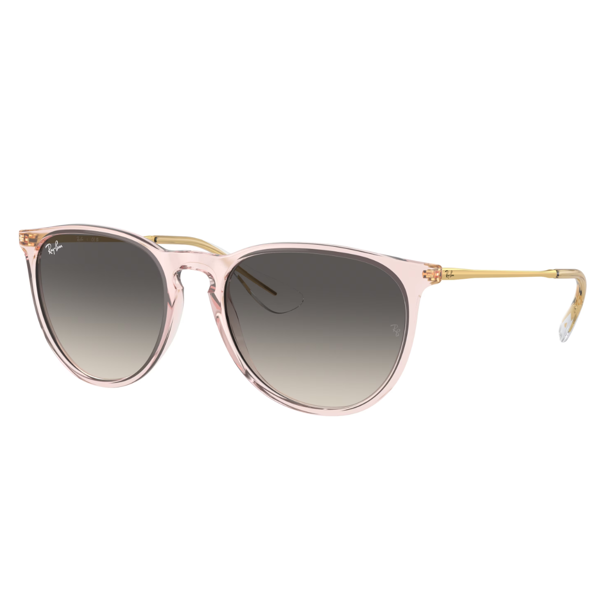 Gafas de Sol RayBan RB4171 ERIKA 54/18 145