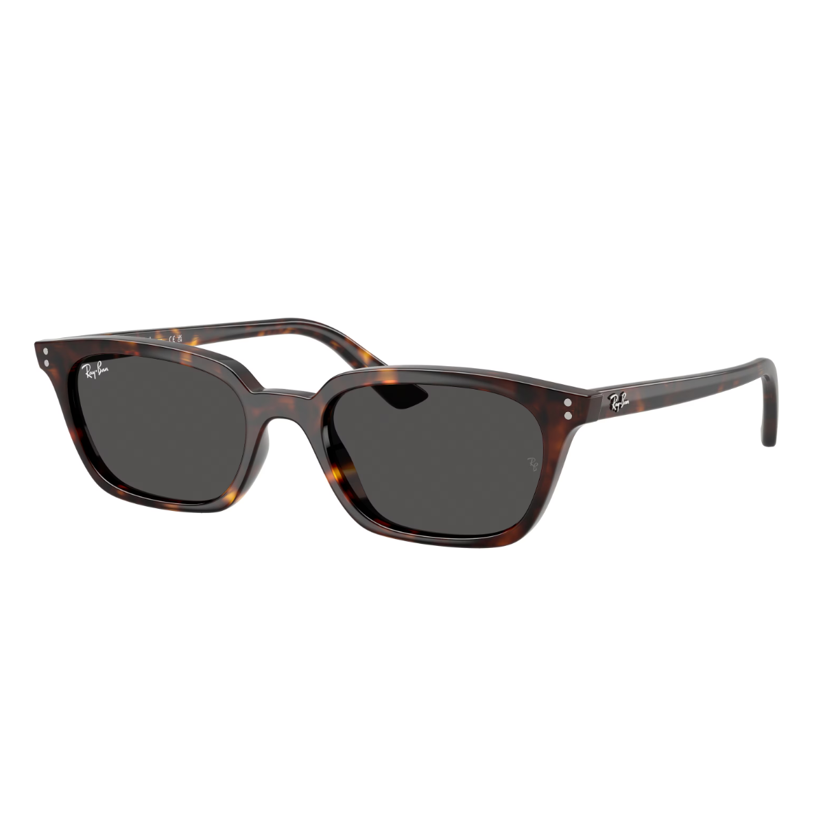 Óculos de sol Ray-Ban Zaya RB4456 53/19 145