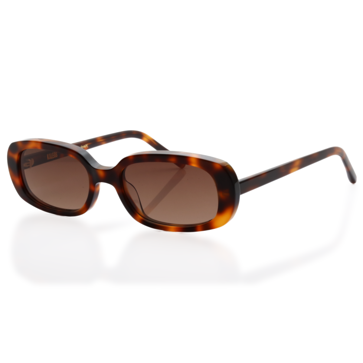 Gafas de Sol Kaleos STIRLING 53/18 145