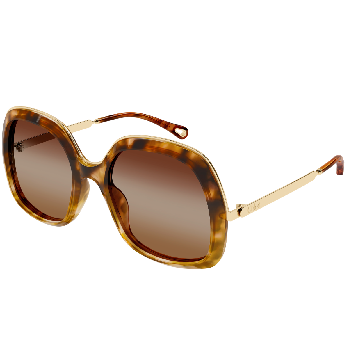 #color_Havana / Marrón (002)