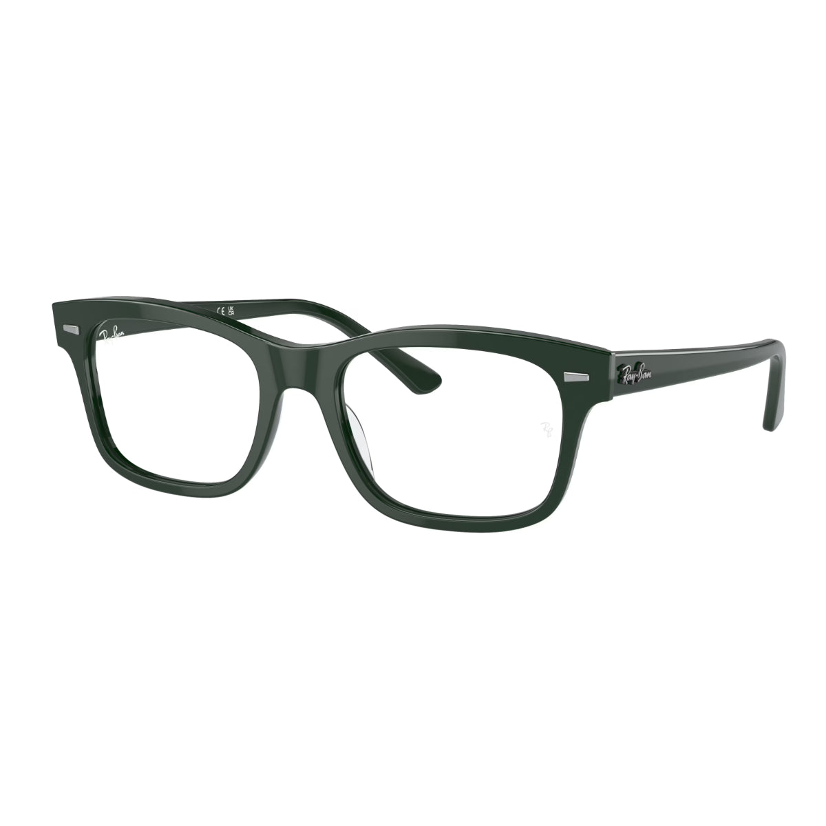 Gafas Graduadas Ray-Ban RX5383 MR BURBANK 54/19 150