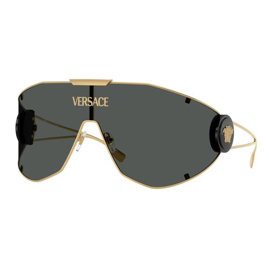 Óculos de sol Versace VE2268 42 115