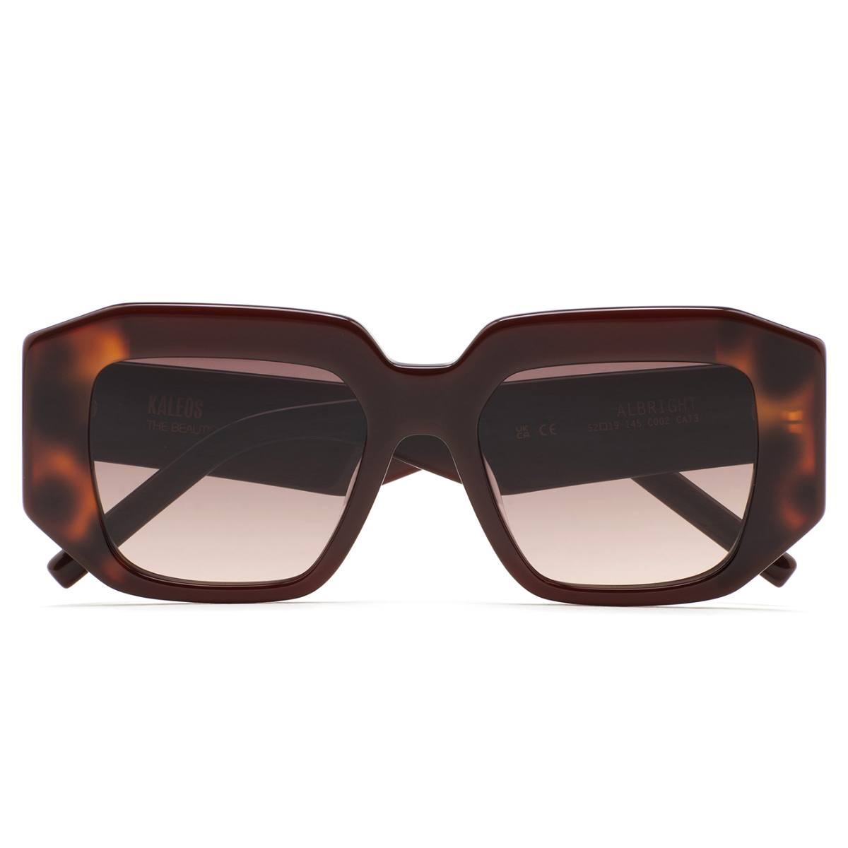 Gafas de Sol Kaleos ALBRIGHT 52/19 145