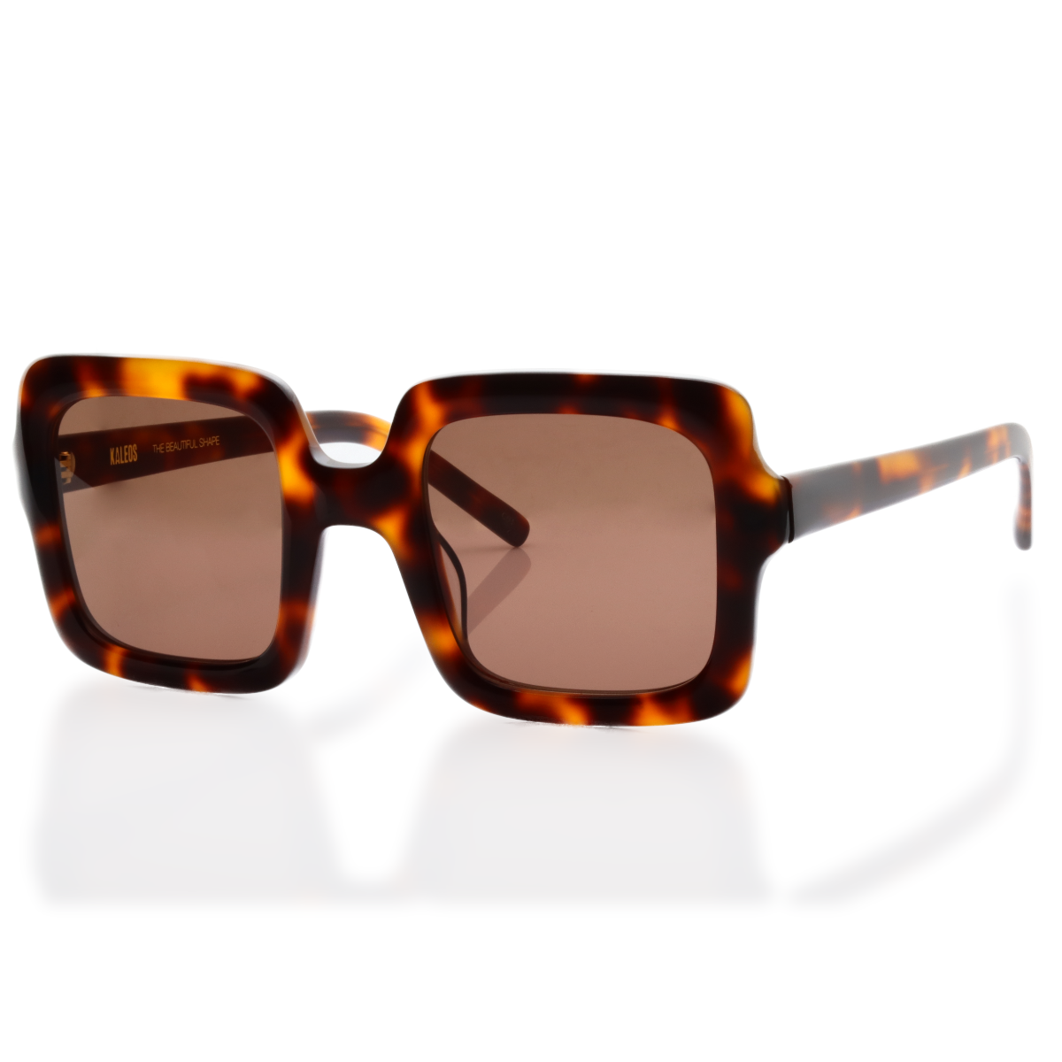 Gafas de Sol Kaleos DEIST 50/25 145