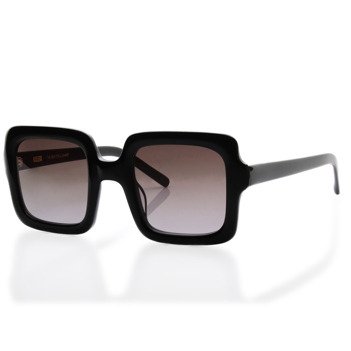 Gafas de Sol Kaleos DEIST 50/25 145